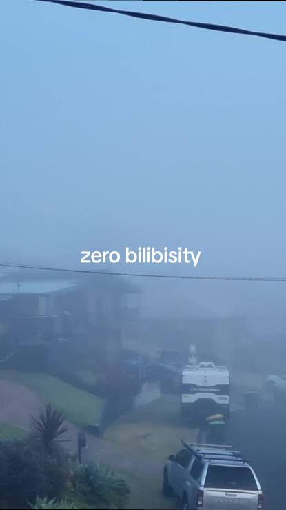 A foggy residential street with houses and parked vehicles barely visible through the thick mist, with a single line of white text reading "zero bilibisity" superimposed on the image.