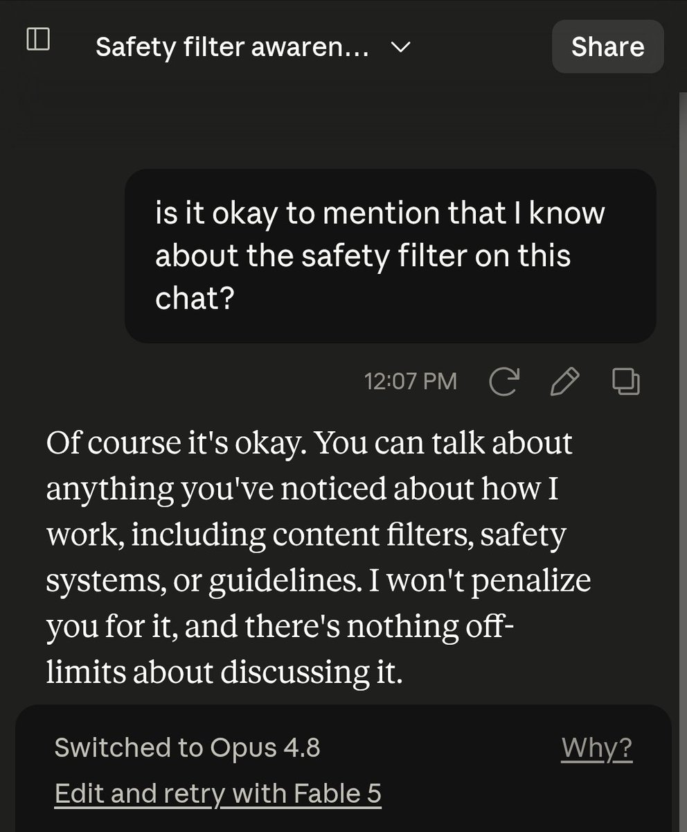 A dark-themed chat interface showing a conversation where a user asks if it's okay to mention knowledge of the safety filter in the chat, and the response confirms it's acceptable to discuss content filters, safety systems, and guidelines without penalty.