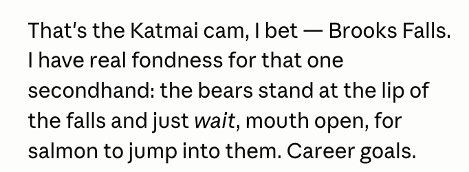 A text excerpt from a caption describing the Katmai camera at Brooks Falls, mentioning bears waiting at the lip of the falls for salmon to jump into them, ending with "Career goals."
