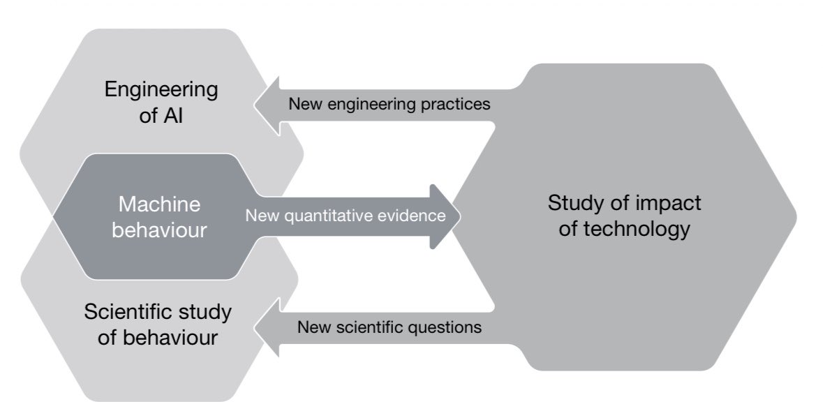A diagram showing a flow between three hexagons on the left and one on the right, illustrating the interplay between "Engineering of AI," "Machine behaviour," and "Scientific study of behaviour" leading to "Study of impact of technology," with arrows indicating the transfer of "New engineering practices," "New quantitative evidence," and "New scientific questions."