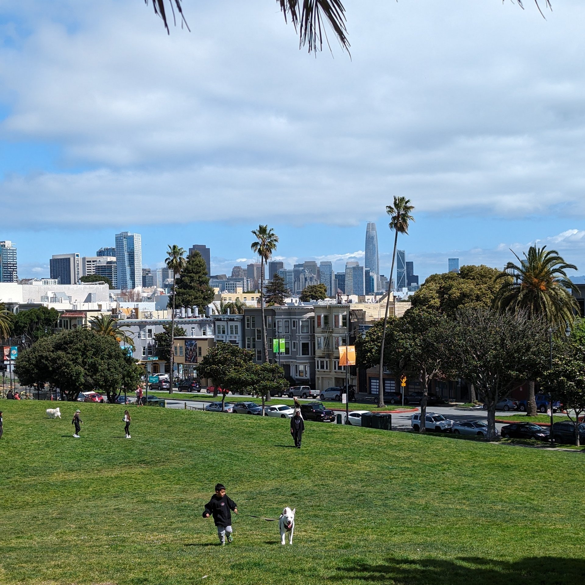 A wide shot of a grassy park hill in San Francisco where a child walks a white dog, with the city skyline and Salesforce Tower in the background. Several people and palm trees are scattered across the green lawn under a partly cloudy blue sky.