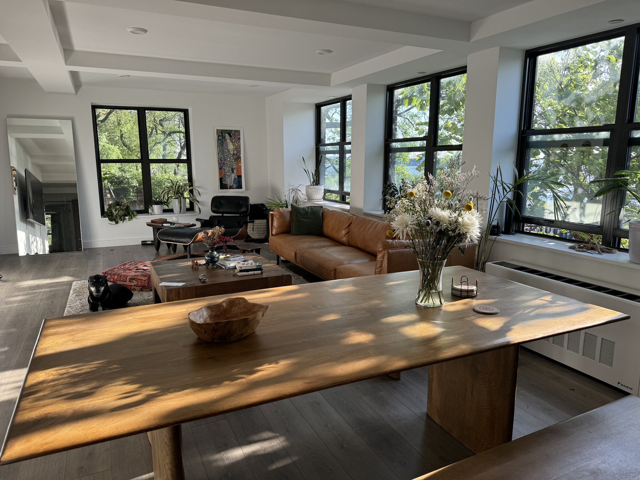 1797719414663721441-0