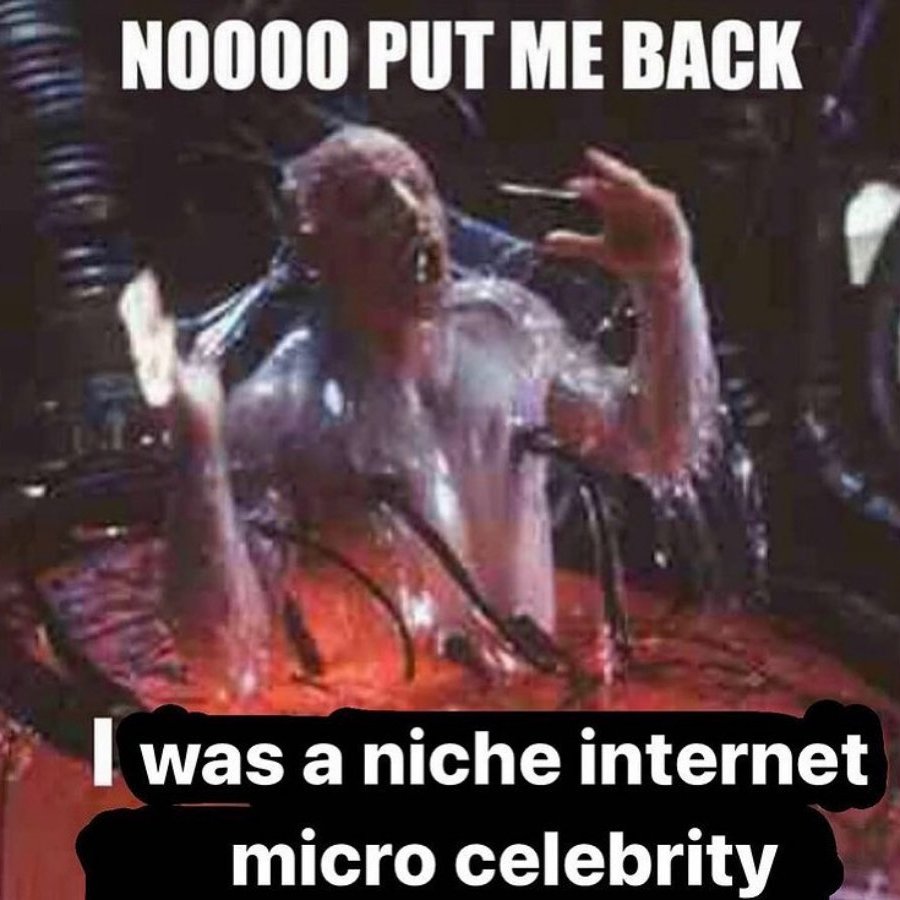 A meme featuring a scene from The Matrix where Neo wakes up in a liquid-filled pod with tubes attached to his body. White text at the top and bottom reads, "NOOOO PUT ME BACK I was a niche internet micro celebrity."
